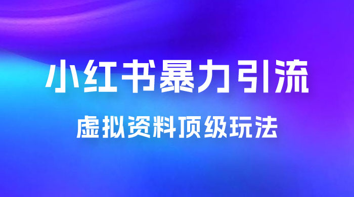 虚拟资料顶级玩法,揭秘小红书暴力引流教程